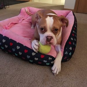 Meet your Posher, Angela